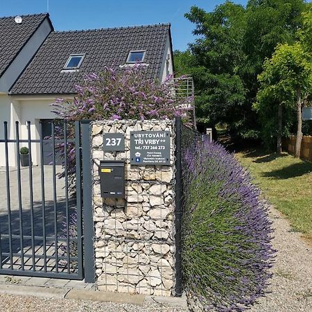 Ubytovani Tri Vrby Pasohlávky Dış mekan fotoğraf